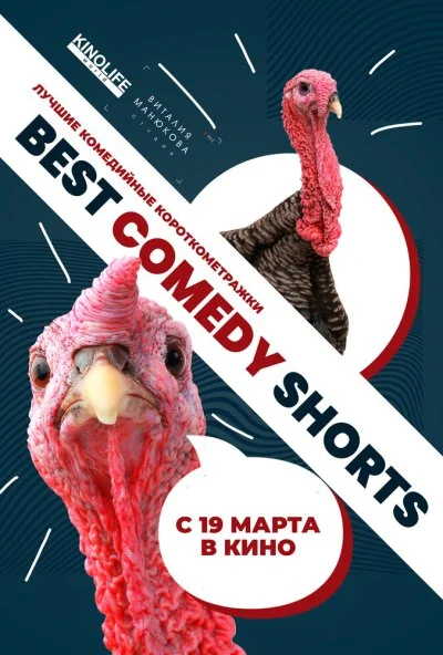 Best Comedy Shorts (2020) онлайн бесплатно
